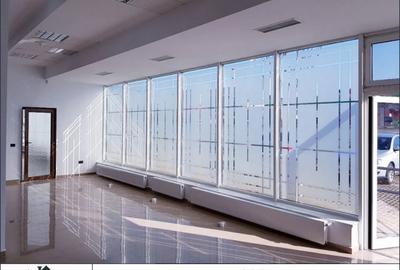 Spațiu comercial, de 295 mp, în Podgoria - 5