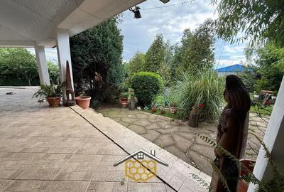 Casa P+1 cu garaj si 950 mp teren in Simnicul de jos - Comision 0% - 14