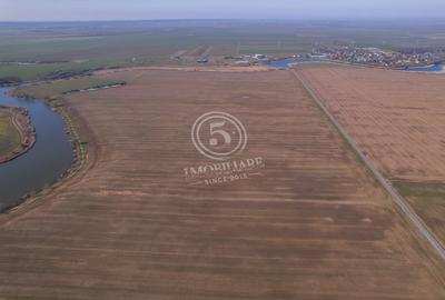 Teren Construcții intravilan de 17500 mp, în Frumușani - 6