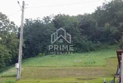 Teren de 1240 mp, în Fața - 5