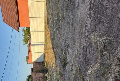 Vand casa batraneasca cu teren intravilan 4600mp - 1