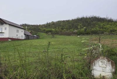 Spațiu comercial, în Conțești - 7