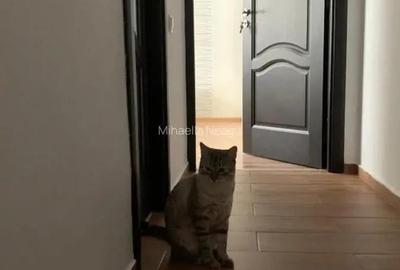 Apartament cu 2 camere decomandat în Titan