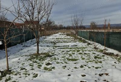 Casă în Vadu Crișului - 8