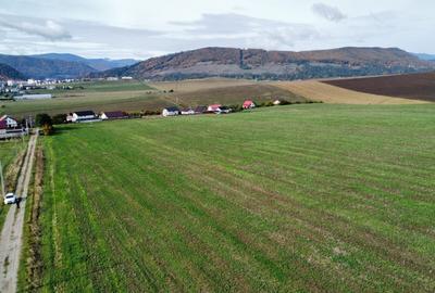 Teren agricol intravilan de 10000 mp, în Gârcina - 5