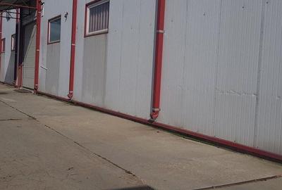 Pantelimon DN3 hala 870 mp Pantelimon DN3 hala 870 mp - 2