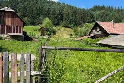 5283 mp TEREN INTRAVILAN IN ZONA TURISTICA MONTANA BUCOVINA, VAMA - SUCEAVA - 16