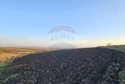 Teren extravilan 30077mp Stroiesti / Soseaua DN17, Suceava - 12