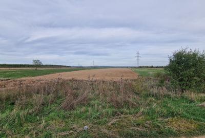 Teren de 6796 mp, în Priseaca - 2