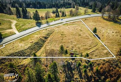 Teren Construcții intravilan de 5800 mp, în Ojdula - 18
