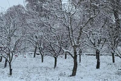 Casă în Poiana - 3