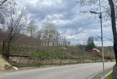 Vanzare teren intravilan - Runcu - oportunitate intr-o zona turistica deosebita - 4