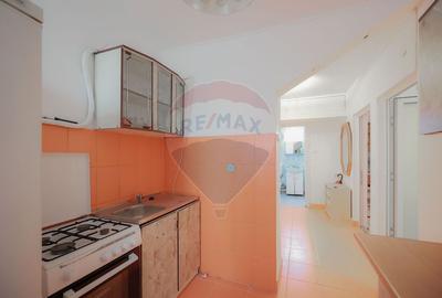 Apartament cu 2 camere decomandat în Dacia - 8