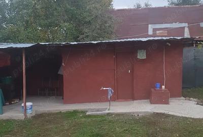 Casa de vanzare in sat Iliesti, com.Ionesti, jud.Gorj - 7