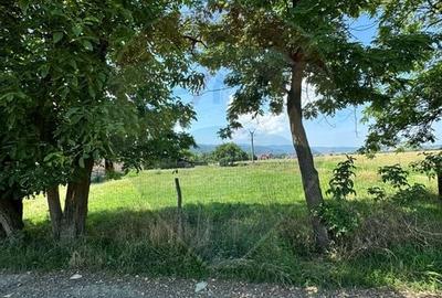 Teren 1,534mp Sighetu Marmatiei / Strada Tractorului - 3