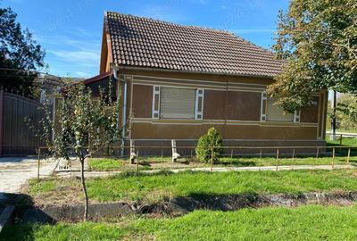 Casa 4 camere - NADAB ( 35 km de Arad ) - 10