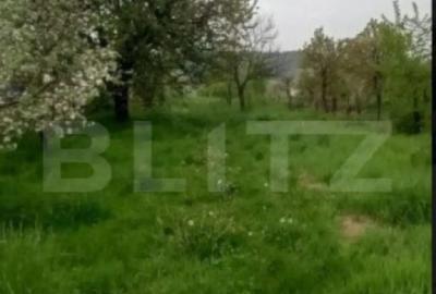 Casă cu 2 camere cu Teren 2315 Mp în Central - 4