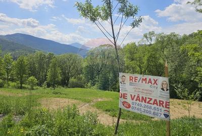 Teren Construcții intravilan de 2910 mp, în Chirițeni - 22