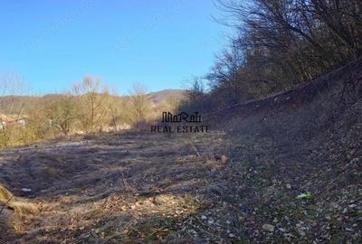 Teren de 3384 mp, în Sud - 10