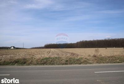 Teren de 9740 mp, în Bosanci - 4