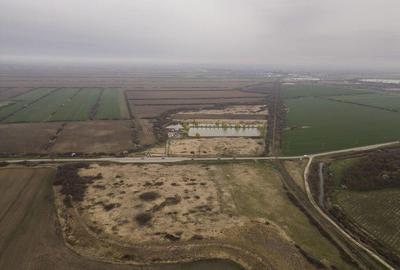 Teren extravilan in Ineu - 7