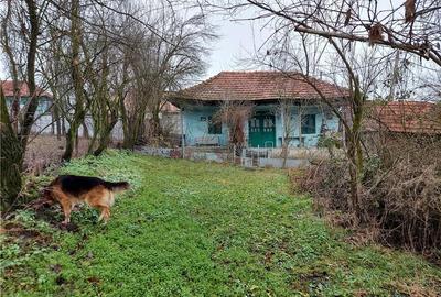 Casă în Central - 3