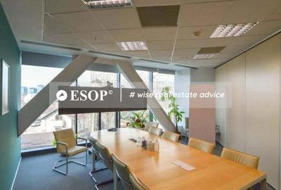 Euro Tower, Barbu Vacarescu, 220 - 3790 mp 0% comision! - 13