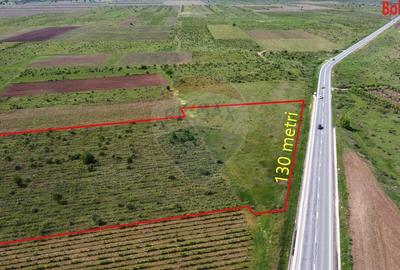 Teren agricol extravilan de 33000 mp, în Bolotești - 3