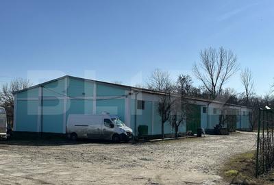 Hale, spatii de depozitare si administrative, teren 6530 mp, Cernele