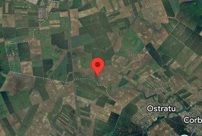 Spațiu comercial, în Periș - 3