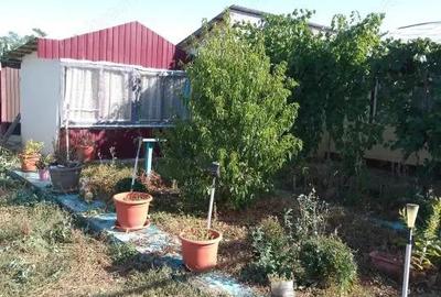 Casa de vanzare in Garbovi, jud. Ialomi?a la doar 70 km de Bucure?ti! - 8