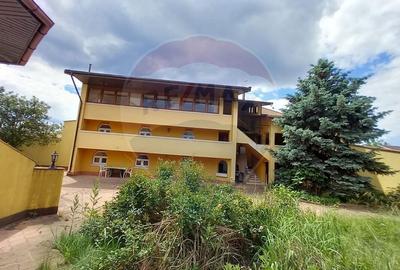 Casa / Vila cu 21 camere de vanzare in zona Alexandriei - 16