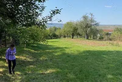 Vand casa de lemn cu gradina si teren de casa in mijlocul tarii, in sat Jimbor, jud.Brasov - 4