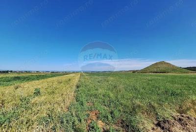 Teren intravilan Maracineni / Strada Manga