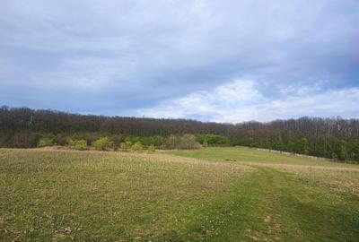 Spațiu comercial, în Socond - 2