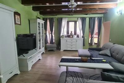 Casa in Gros cu poten?ial afacere (Camping,Pensiune, etc) - 1