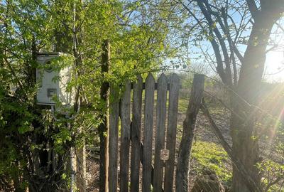 Spațiu comercial, în Valea Argovei - 3