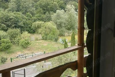 Casa cu teren la Tarcau zona Cazaci - 11