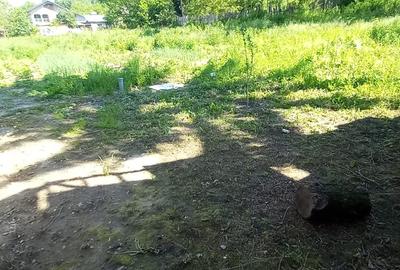 Vanzare proprietate- casa si teren Gheboieni Dambovita - 14