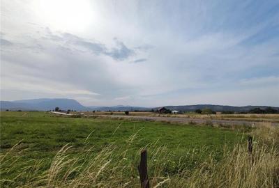 Teren de 10000 mp, în Bran - 5