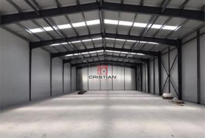 Depozit/hala/spatiu industrisl Jilava - Giurgiului - Progre - 13