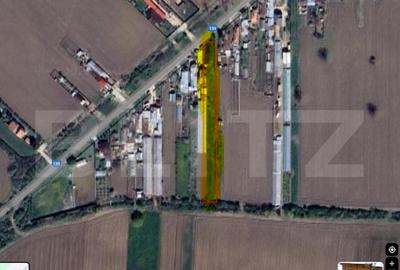 Teren sat Pietrosani ,1010 intravilan + 723 extravilan - 1