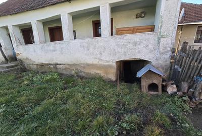 Casă cu 6 camere cu Teren 1400 Mp în Chitid - 4