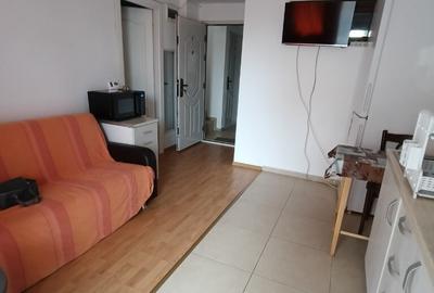 METROU,ap.2 camere cu GRADINA,in vila,zona verde,linistit,aer conditio - 2