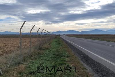 Teren intravilan Calea Feldioarei - 3