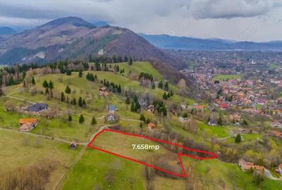 Teren de 7658 mp, în Bran - 5