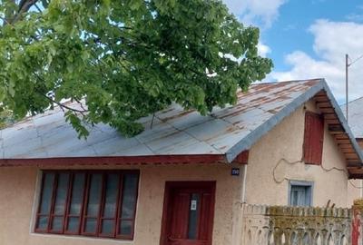Casă individuală cu 6 camere cu Teren 1175 Mp în Islaz - 3