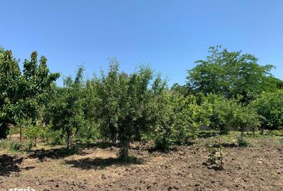 Casă cu 4 camere cu Teren 1592 Mp în Techirghiol - 2