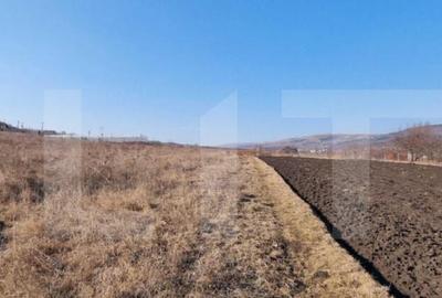 Teren intravilan, 6800 mp, Jucu - 1