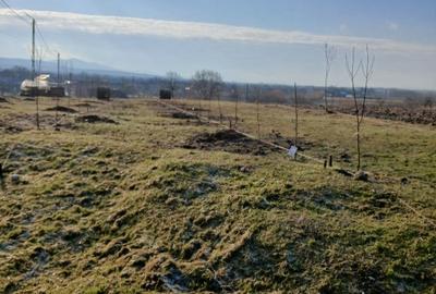 Teren Construcții intravilan de 3687 mp, în Răchita - 2